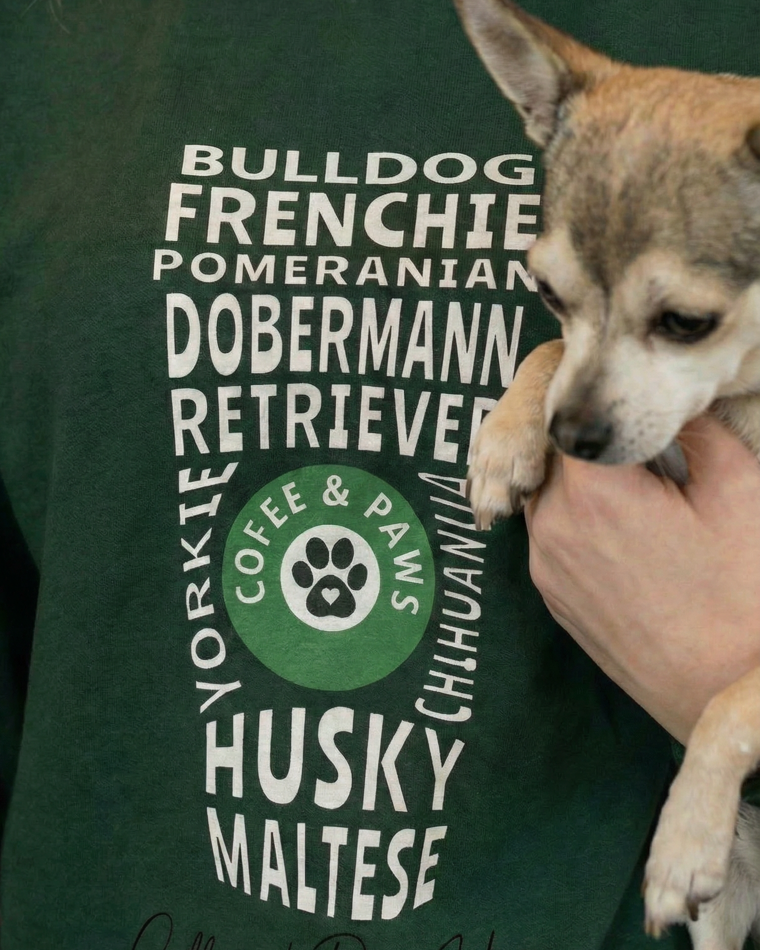 Person wearing a green t-shirt with dog breeds text and a small dog on their lap.