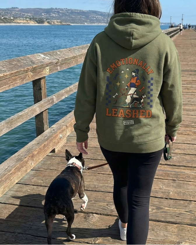Person walking a dog on a wooden pier with ocean view, wearing a hoodie with a graphic design.